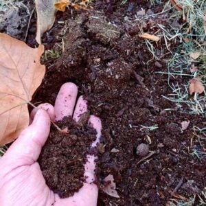 Organic Leaf Compost - Image 3